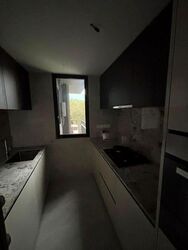 Tembusu Grand (D15), Condominium #628874391